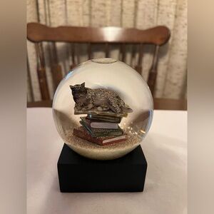 Kitty Sleeping On Books Snow Globe 🐈‍⬛ 📚